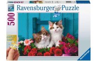 Ravensburger Puzzle Katzenbabys