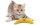 Petstage Katzen-Spielzeug Green magic Boomerang Buddy