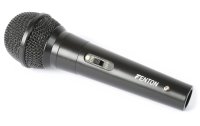 Fenton Mikrofon DM100