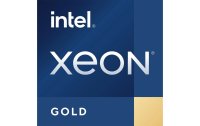 Intel CPU Xeon Gold 6252 2.1 GHz