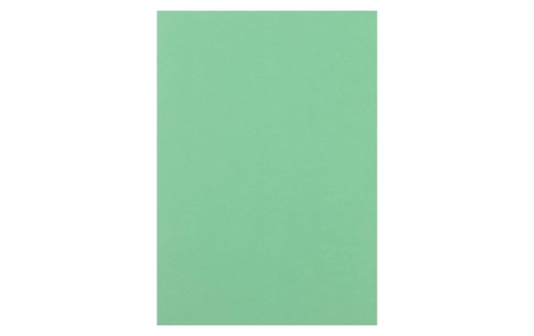 Rainbow Kopierpapier Rainbow 120 g/m² A4, Mittelgrün