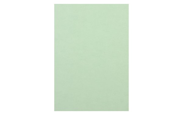 Rainbow Kopierpapier Rainbow 120 g/m² A4, Hellgrün