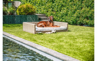 greemotion PET Hunde-Sofa Rattan-Optik, Beige, Grösse XL