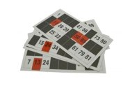 Ravensburger Lottokarten Lottokarten 24 Stück