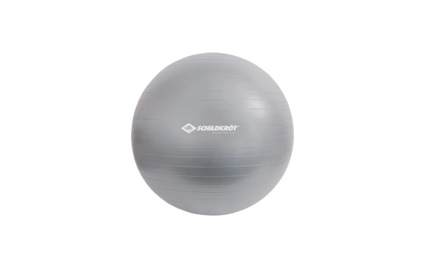 Schildkröt Fitness Gymnastikball 65 cm