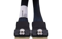 Adaptec Slim-SAS-Kabel ACK-I-SlimSASx8-SlimSASx8-0.8M 80 cm