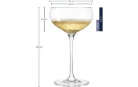 Leonardo Sektglas Cheers 315 ml, 6 Stück, Transparent