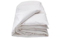 Interio Bettwaren Duvet Basic Light 200 x 210 cm