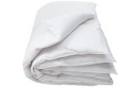 Interio Bettwaren Duvet Basic Warm 160 x 210 cm