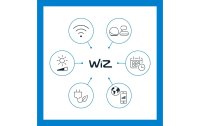WiZ E27 Tunable White & Color 60W Ersatz