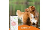 Weenect GPS-Tracker XS für Hunde, Weiss