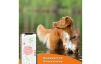 Weenect GPS-Tracker XS für Hunde, Schwarz