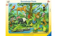 Ravensburger Kleinkinder Puzzle Tiere im Regenwald