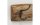 Boltze Garderobenleiste Brando 55 x 10 cm, Braun
