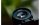 Venus Optic Festbrennweite Laowa 85mm f/5.6 2X APO – L-Mount