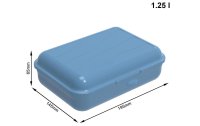 Rotho Lunchbox Fun 1250 ml, Blau