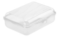 Rotho Lunchbox Fun 1250 ml, Transparent