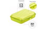 Rotho Lunchbox Fun 450 ml, Hellgrün