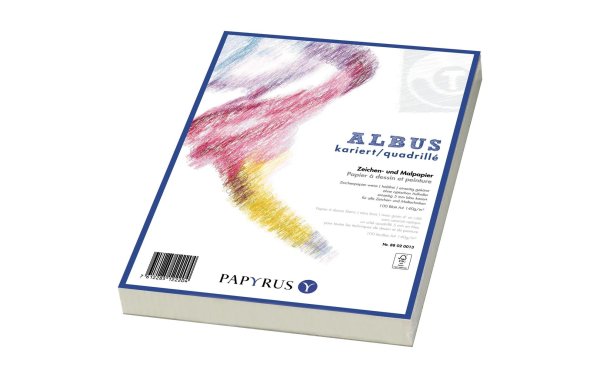 Scaldia Zeichenpapier Albus A4, Kariert, 160 g/m², 100 Blatt