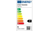 Star Trading Lampe Opaque Filament 5 W (39 W) E27 Warmweiss