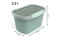 Rotho Vorratsbehälter Eco 2.2 l, Grün