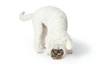 Hunter Hunde-Spielzeug Schnüffelball Eiby, Ø 15 cm