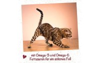 cdVet Katzen-Nahrungsergänzung feliTATZ FellGlanz,...