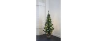 Star Trading Weihnachtsbaum Toppy, 30 LEDs, 90 cm