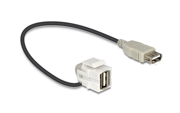 Delock Keystone-Modul USB2.0, A - A, (f-f) 110° gewinkelt, Weiss