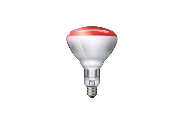 Philips Lampe BR125 250 W E27  Infrarot