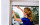 tesa Fliegengitter Insect Stop Comfort Fenster 1.7x1.8m weiss
