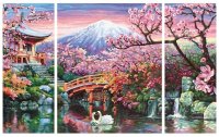 Schipper Malen nach Zahlen Kirschblüte in Japan