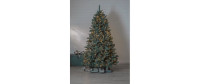 Star Trading Weihnachtsbaum Royal Blue, 2.1 m, Grün