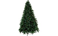 Star Trading Weihnachtsbaum Toronto, 2.25 m, Grün