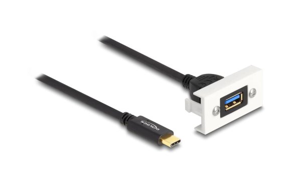 Delock Easy 45 Modul SuperSpeed USB-A zu USB-C, Kabelpeitsche