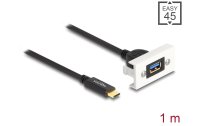 Delock Easy 45 Modul SuperSpeed USB-A zu USB-C,...
