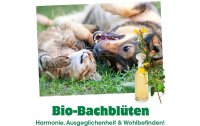 cdVet Hunde-Nahrungsergänzung Bio-Bachblüten, Verlassen, 20 ml