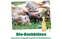 cdVet Hunde-Nahrungsergänzung CBD Öl, 20 ml