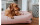 Hunter Hunde-Sofa Inari M, 80 x 60 cm, Pastellrot