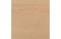 Cricut Holzartikel Holzplatten 30.5 x 30.5 cm Cherry 2 Stück
