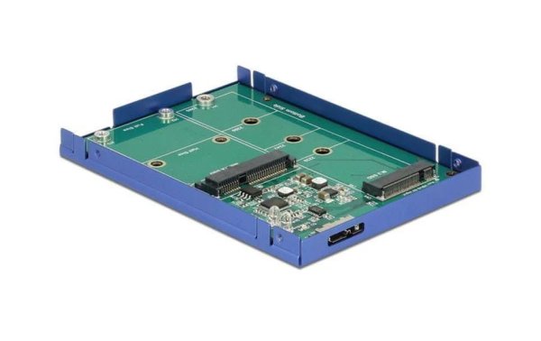 Delock 2.5"-Einbaurahmen USB 3.1 für M.2/mSATA-Module