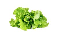 Click and Grow Samen Grüner Salat...