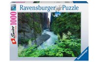 Ravensburger Puzzle Aareschlucht