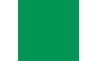 Cricut Aufbügelfolie Smart 33 x 91 cm, 1 Stück, Grün