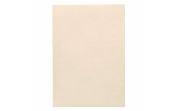 Artoz Bastelpapier 1001 A4 220 g/m² Ivory, 5 Blatt