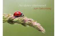 Natur Verlag Geburtstagskarte Käfer auf Halm 17.5 x...