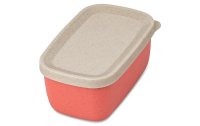 Koziol Lunchbox Candy S Rot