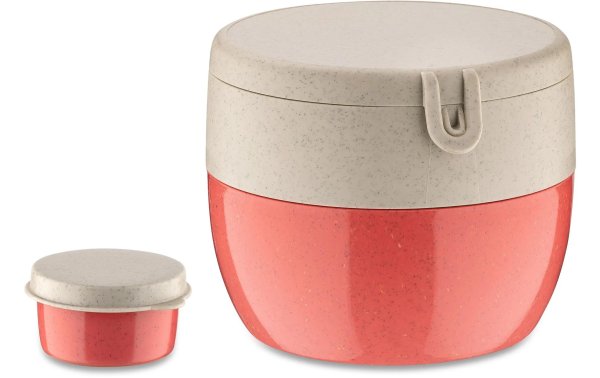 Koziol Lunchbox Bento M Rot