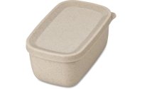 Koziol Lunchbox Candy S Sand