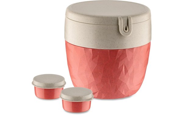 Koziol Lunchbox Bento L Rot